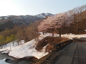 DSCN0892