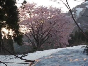 DSCN0893
